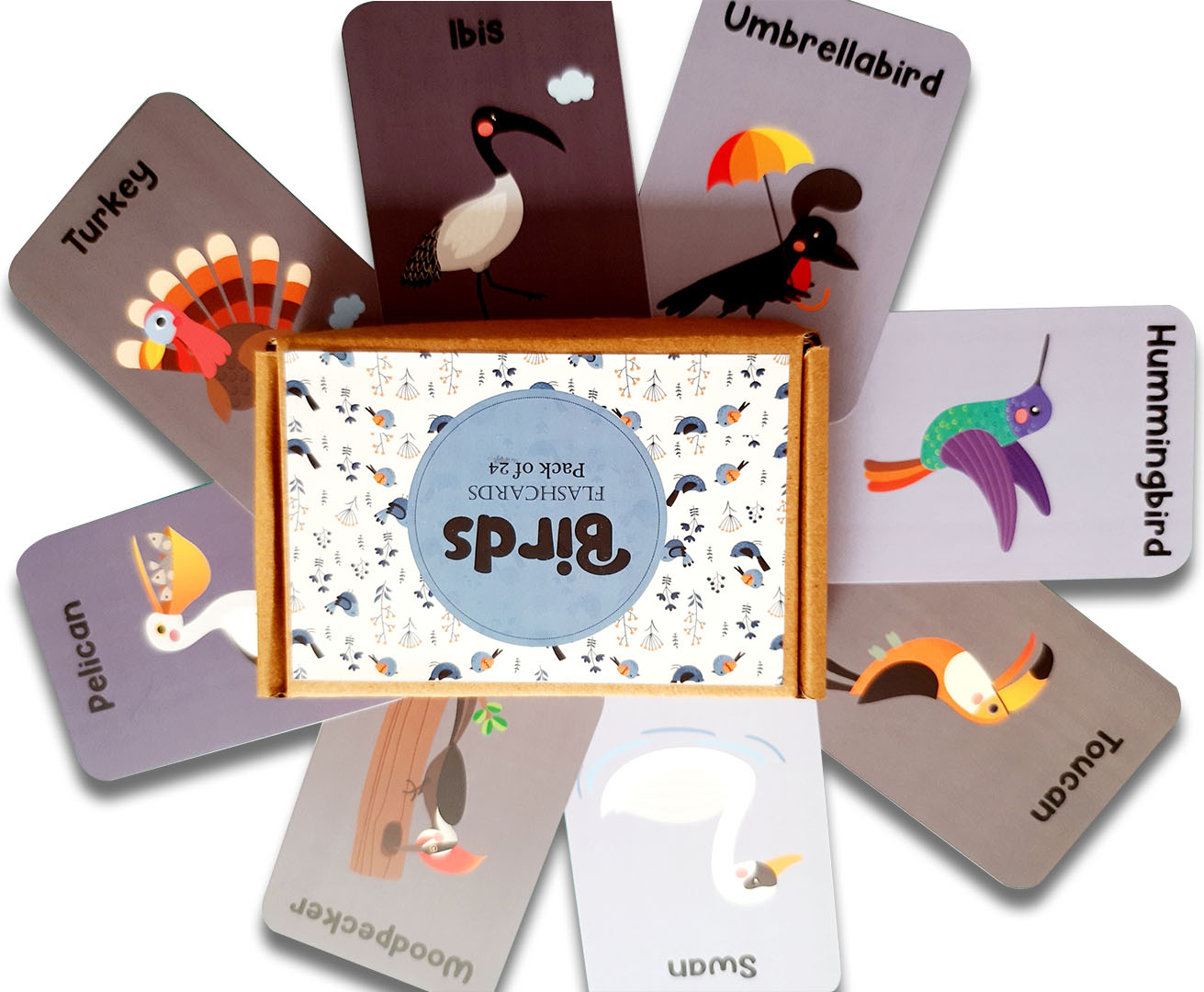 Birds Flash Cards