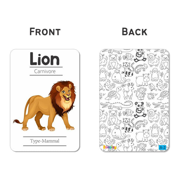 Animals Flash Cards - Pack of 24